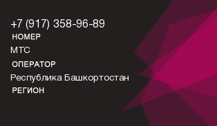 9173589689
